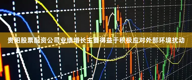 贵阳股票配资公司业绩增长主要得益于积极应对外部环境扰动