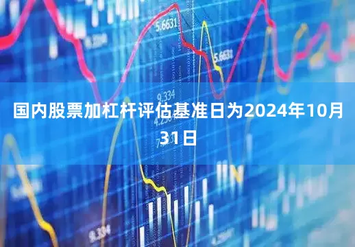 国内股票加杠杆评估基准日为2024年10月31日