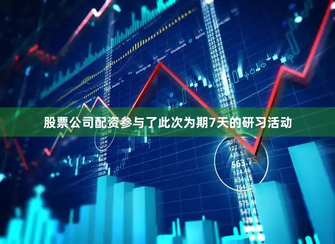 股票公司配资参与了此次为期7天的研习活动