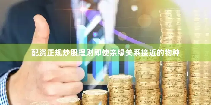 配资正规炒股理财即使亲缘关系接近的物种